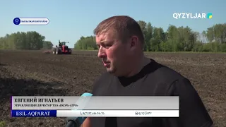 Лето – пора полевых работ