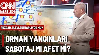 Orman Yangınları Sabotaj Mı Afet Mi? Prof. Dr. Orhan Şen, Son Yangınları Değerlendirdi