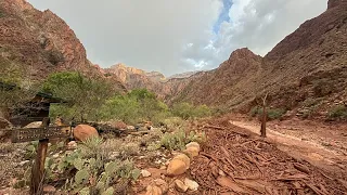 Una fuerte riada en el Gran Cañón deja 1 muerto y 15 desaparecidos