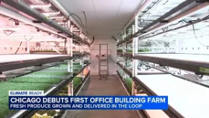 1st vertical farm in downtown office building in US now in Chicago