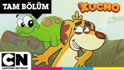 Pırtık 🥹 | KUCHO | TAM BÖLÜM @cartoonnetworkturkiye