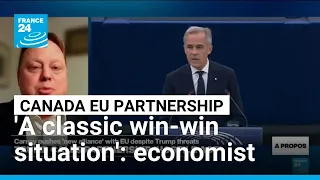 The Canada-EU partnership 'a classic win-win situation', economist says • FRANCE 24 English