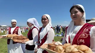 Қымызмұрындық – 2026 | Қарқара жайлауы | Дала туризм