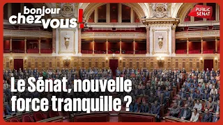 Le Sénat, nouvelle force tranquille ?