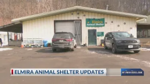 Elmira shelter seeks state funds to meet  regulations