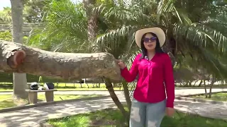 La costa Caribe de Honduras