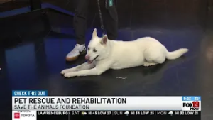 Save the Animals Foundation to host Channel Your Flannel fundraiser March 21