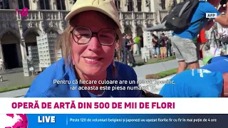 Operă de artă din jumătate de milion de flori: Ce semnifică covorul uriaș din Bruxelles