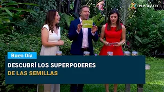 Discover the Superpowers of Seeds