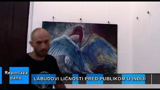 Reportaža dana "Labudovi ličnosti pred publikom u Inđiji" 09.07.2026