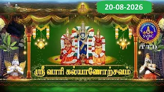 Srivari Kalyanotsavam || Tirumala || 20-08-2026 || SVBC2 Tamil  || SVBC TTD