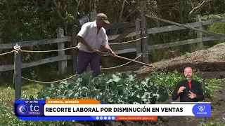 Alert Raised Over Potential Economic Impact of El Niño in Quindío