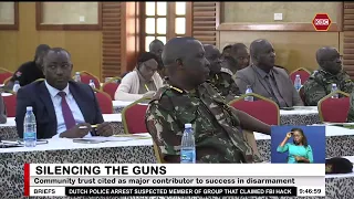 Government announces one-month amnesty for surrender of illegal firearms