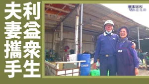 【證嚴上人衲履足跡】 道侶同心‧志業同行｜夫妻攜手利益眾生｜牽手走天涯  共行一念善 20260228