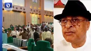 Electoral Act: Utomi Calls For Mass Recall Of NASS Members, Picketing Of Their Homes