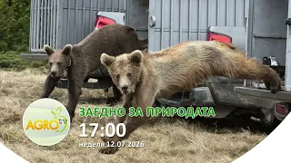 Как да реагираме при среща с мечка: Александър Дуцов развенчава митовете за кафявата мечка