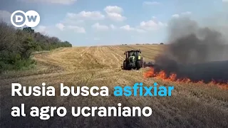 The Russian blockade and the desperation of Ukrainian farmers