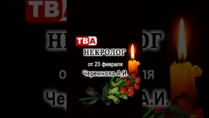 Черемнова А.И.