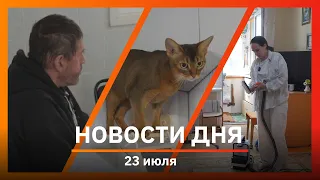 Ufa and Bashkiria News 07/26/23: surgery for a cat, cleaning small apartments, and employment for...
