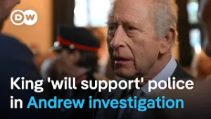 Royal family members release statement after Andrew revelations in Epstein files | DW News