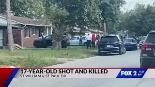 Teen killed, another hurt in Cahokia Heights shooting