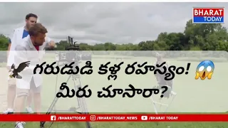 😱 విష్ణువు వాహనమైన గరుడుడి అరుదైన దృశ్యం | మీరు ఎప్పుడూ చూడని వీడియో...| BT