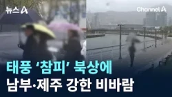 Typhoon 'Champi' Moves North... Strong Rain and Wind in Southern Regions and Jeju / Channel A / N...