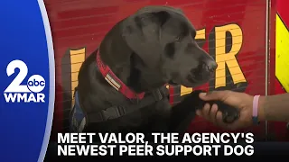 Howard County Fire and Rescue welcomes newest peer support dog, Valor