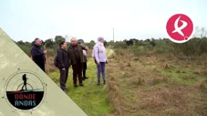 Buscando la corriente llegamos al puente | Donde Andas