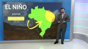 El Niño irá influenciar negativamente produção de cacau em região da Bahia | Será Que Chove?