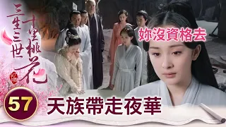 心痛！被婆家逼著交還夫君遺體 連他的葬禮都不能參加【三生三世十里桃花】精華 EP57-1 楊冪、趙又廷、迪麗熱巴、高偉光、張智堯 @ctvdrama_classic