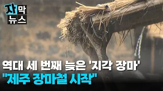 [Subtitled News] Jeju Monsoon Begins.. 3rd Latest 'Delayed Monsoon' on Record