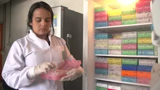 Medellín houses the second largest brain bank in Latin America with over 665 donations