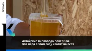 Алтайские пчеловоды заверили, что мёда в этом году хватит на всех