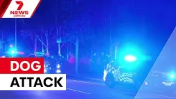Man fights for life after Brisbane dog attack | 7NEWS