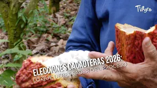 2026 Cocoa Elections: What You Need to Know About the Process - TvAgro by Juan Gonzalo Angel