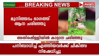 അതിരപ്പിള്ളിയിൽ അവശനിലയിൽ കണ്ടെത്തിയ കാട്ടാന ചരിഞ്ഞു | WILD ELEPHANT