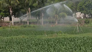 Irrigation systems implemented in the eastern region