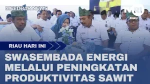 SWASEMBADA ENERGI MELALUI PENINGKATAN PRODUKTIVITAS SAWIT
