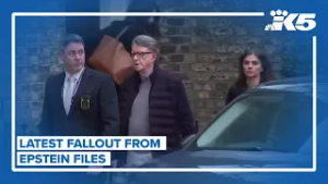 New fallout from Epstein files