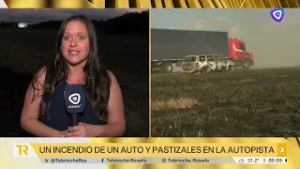 Un auto se prendió fuego y desató un incendio de pastizales a la vera de la autopista a Buenos Aires