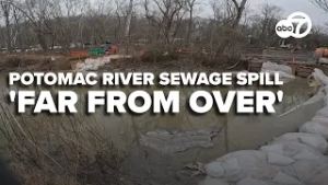Potomac River officials warn crisis from sewage spill is 'far from over'