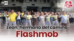 WATCH THE "LEÓN, HERMANO DEL CAMINO" FLASH MOB! 🎶✨