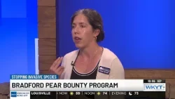 Megan Buland - Bradford Pear Bounty Program UK Arboretum