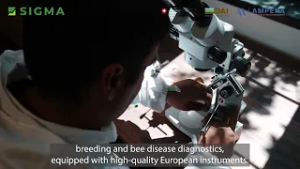 «Մեղվաբուծության դարբնոց» գիտակրթական հետազոտական կենտրոնը  հնարավորությունները։