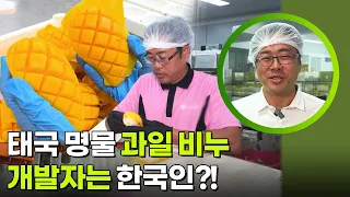 태국 명물 과일 비누, 개발자는 한국인? [생활의 발견] | KBS 260928 방송