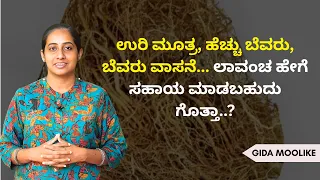 ಉರಿ ಮೂತ್ರ, ಹೆಚ್ಚು ಬೆವರು, ಬೆವರು ವಾಸನೆ... ಲಾವಂಚ ಹೇಗೆ ಸಹಾಯ ಮಾಡಬಹುದು ಗೊತ್ತಾ..? | GIDA MULIKE