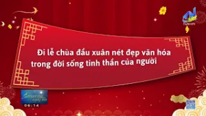 Một số hoạt động nổi bật trong ngày 17/02/2026