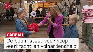 Pruimenboom symboliseert kracht Flevoland