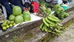 INTERNATIONAL DAY OF RURAL WOMEN: TIKO WOMEN CALL FOR GREATER SUPPORT